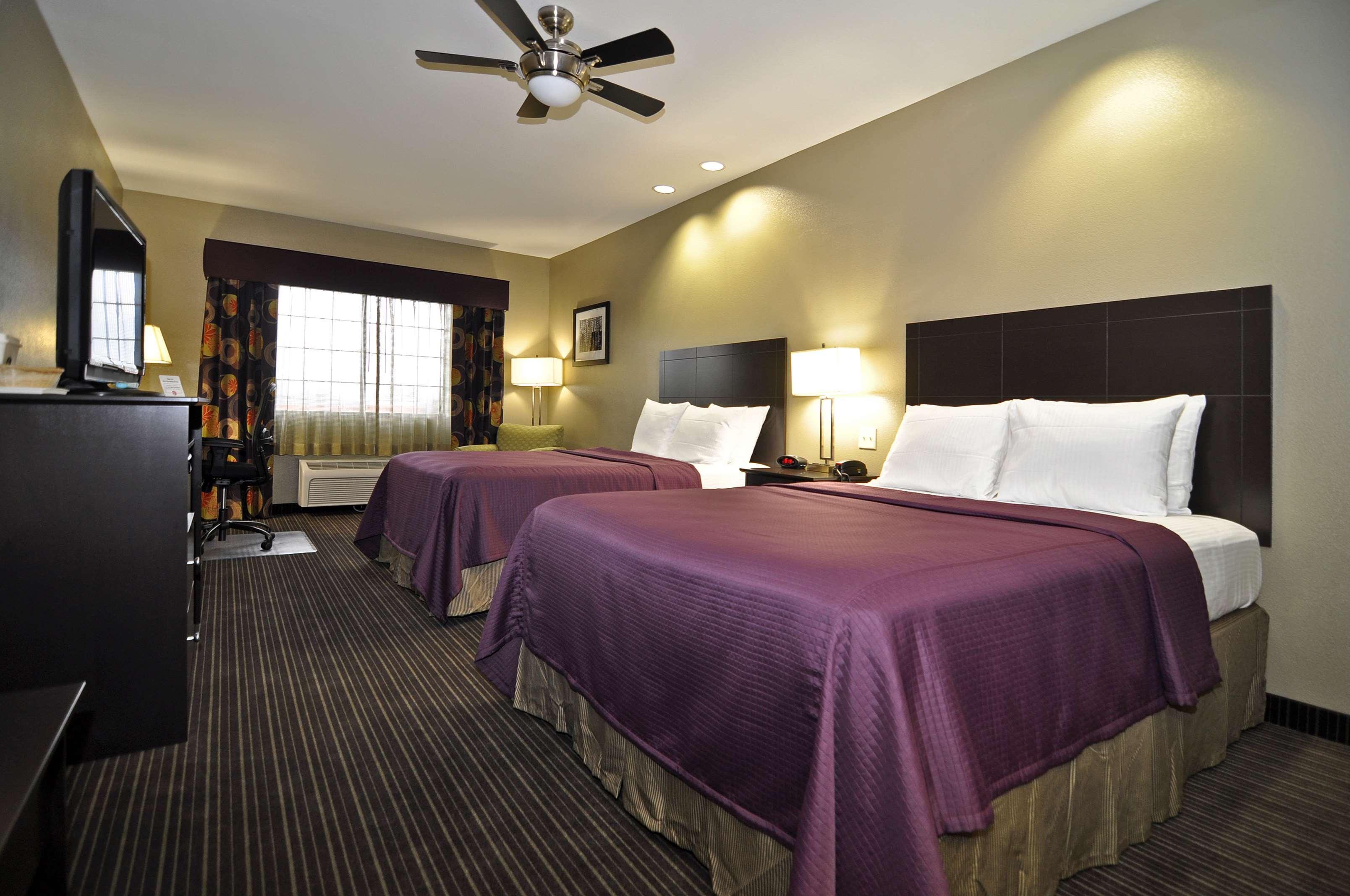Best Western Giddings Inn & Suites Номер фото
